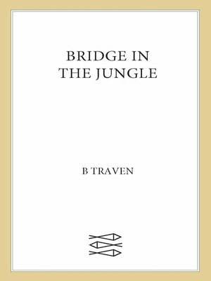 cover image of Bridge in the Jungle